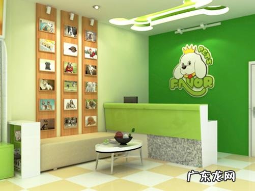 开个宠物店需要什么设备 开个宠物店需要什么