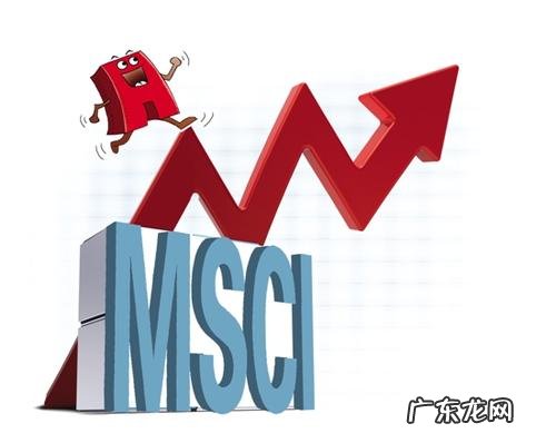 中金msci质量指数是什么意思 msci指数是什么意思