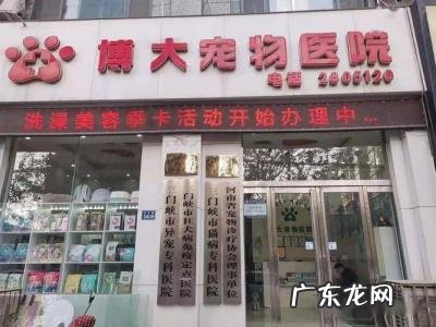 开小型宠物医院需要什么条件 开宠物医院需要什么条件