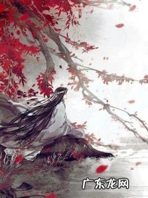 向江南折过花对春风与红蜡歌词 向江南折过花对春风与红蜡