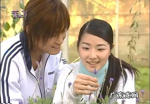 台湾最新偶像剧2020 台湾最新偶像剧