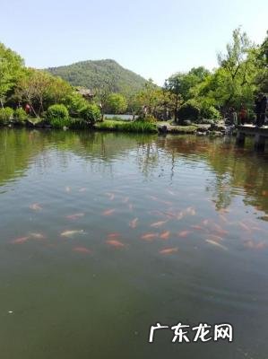 西湖游览路线图 西湖一日游攻略