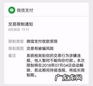 微信好友加多少人达到上限 微信好友上限多少人