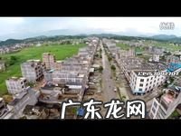 广西横县茉莉花茶价格 广西横县