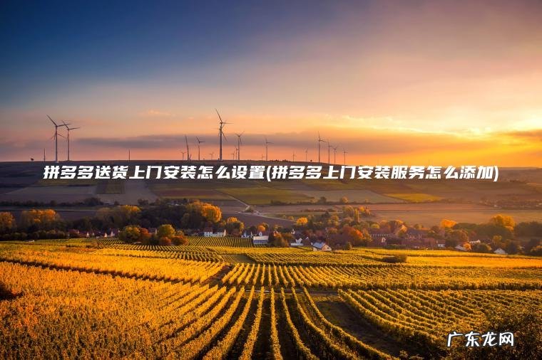 拼多多送货上门安装怎么设置(拼多多上门安装服务怎么添加) 拼多多上门安装服务怎么添加 拼多多送货上门安装怎么设置