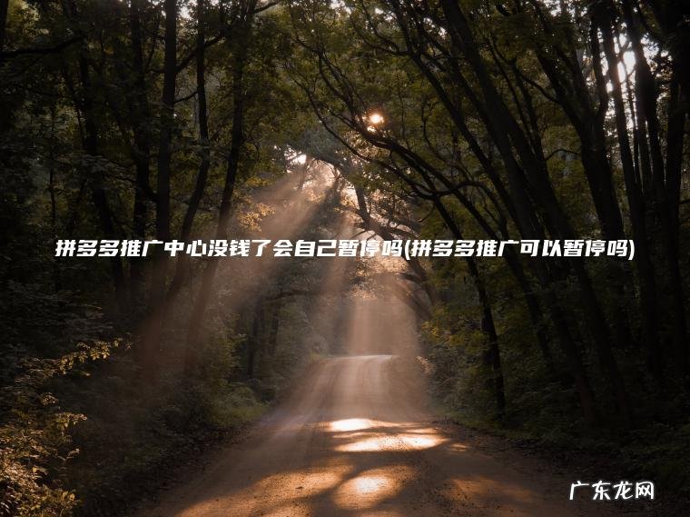 拼多多推广可以暂停吗 拼多多推广中心没钱了会自己暂停吗