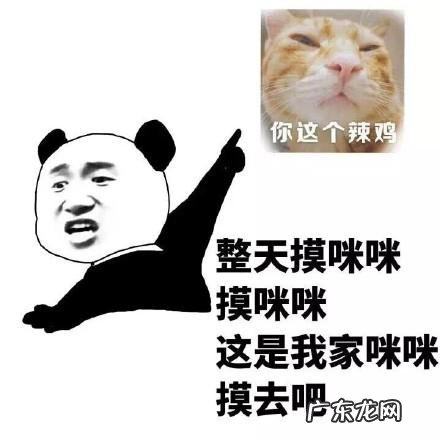 小姐妹微信群名字搞笑逗比 微信群名字搞笑逗比