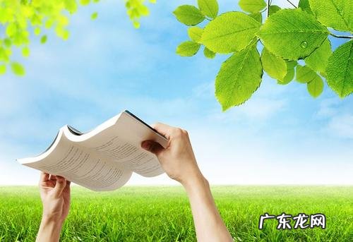 读书的意义作文300字 读书的意义