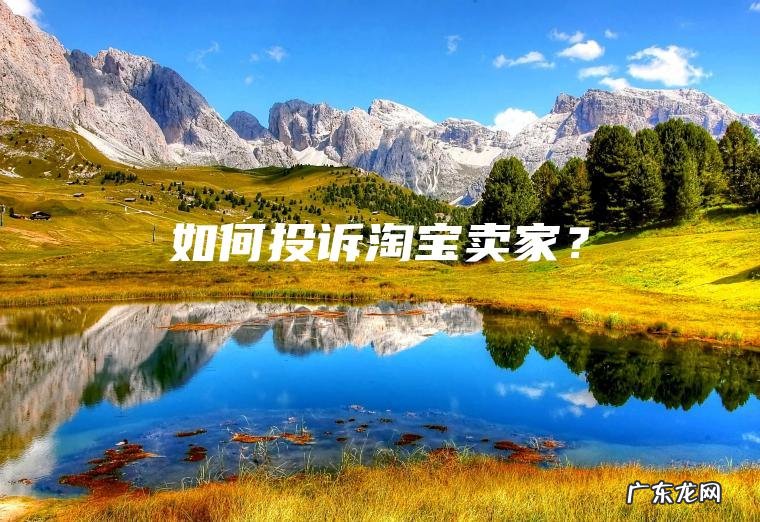 如何投诉淘宝卖家？