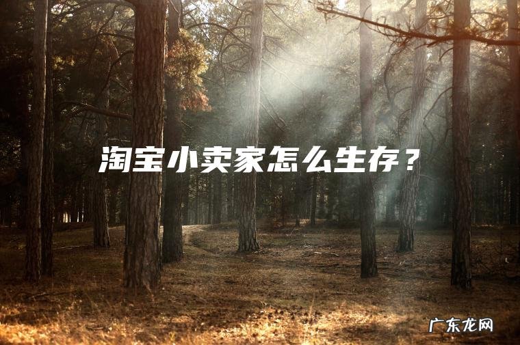 淘宝小卖家怎么生存？