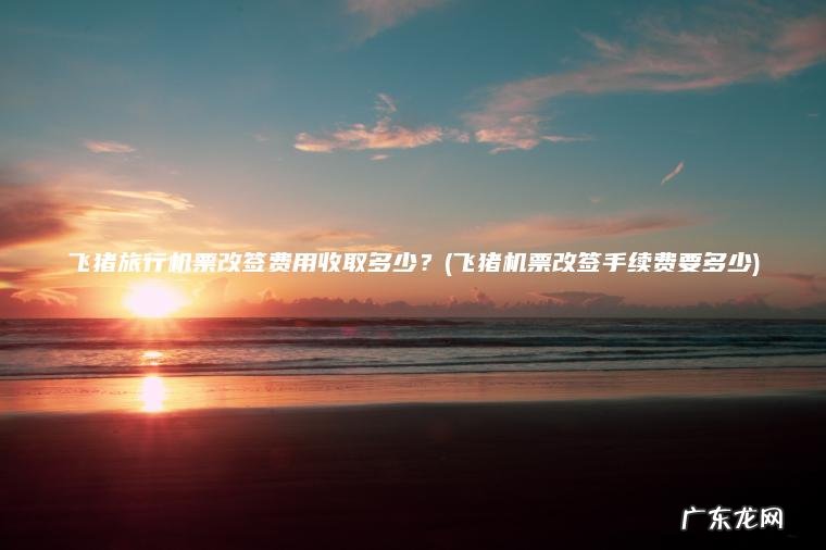 飞猪机票改签手续费要多少 飞猪旅行机票改签费用收取多少？