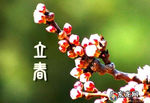 2019年立春是几月几号哪一天 2019年立春是几月几号