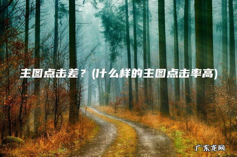 什么样的主图点击率高 主图点击差？