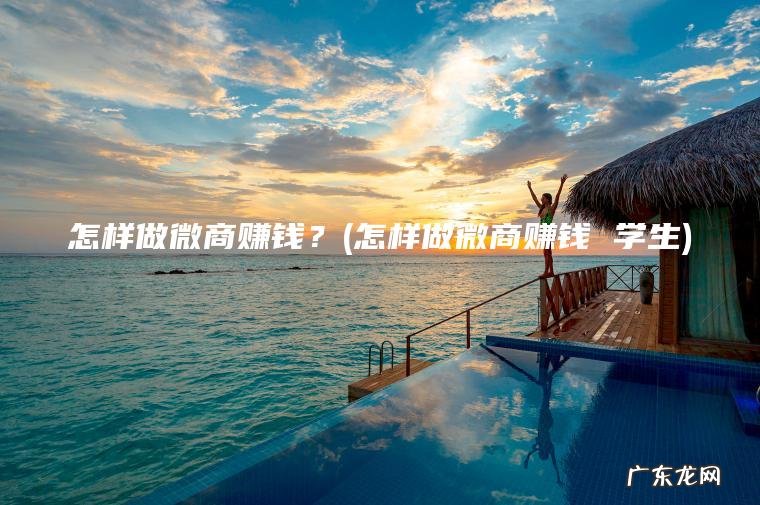 怎样做微商赚钱 学生 怎样做微商赚钱？