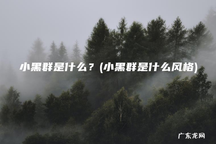 小黑群是什么风格 小黑群是什么？