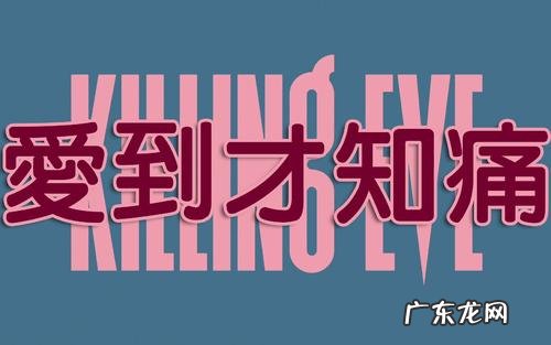 爱到才知痛的中文谐音 爱到才知痛