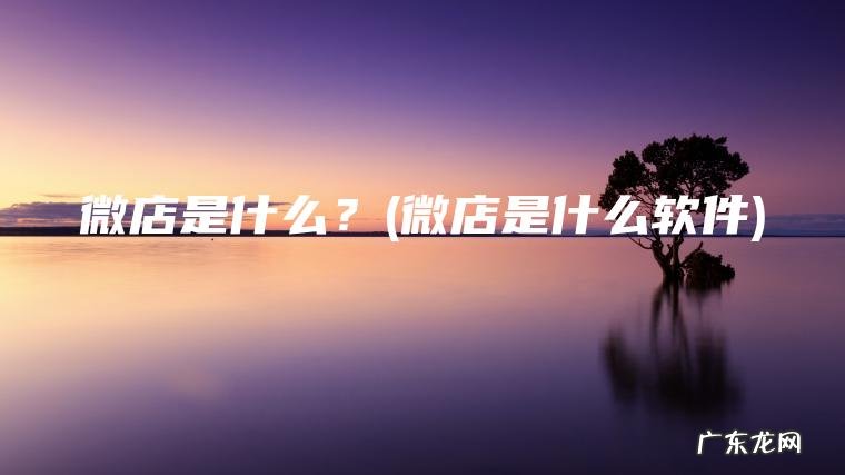 微店是什么软件 微店是什么？