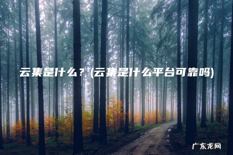 云集是什么平台可靠吗 云集是什么？