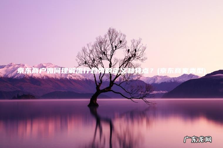 京东商家类型 京东商户如何理解流行趋势的定义和特点？