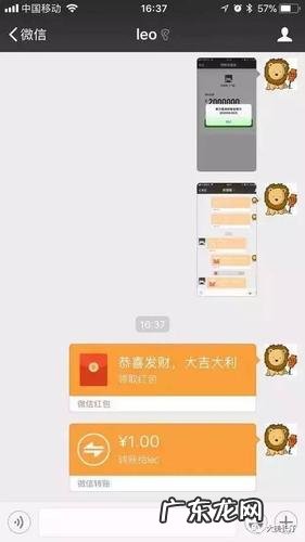 微信转账对方不收会退回吗对方会看见金额吗 微信转账对方不收会退回吗