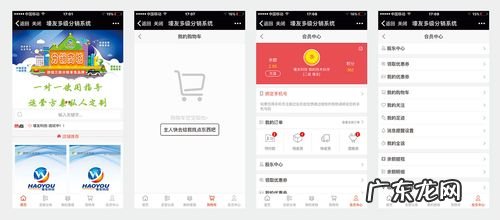 微商城系统开发商 微商城系统哪家强