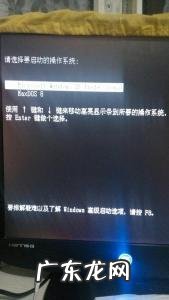 win11微软账户密码忘了 微软账户密码忘了