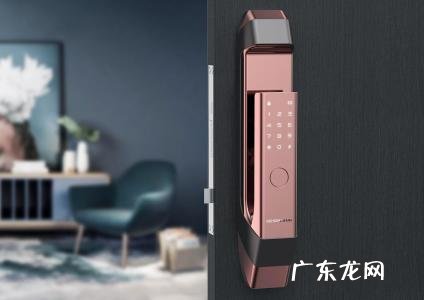 德施曼指纹锁是哪里的品牌 德施曼指纹锁