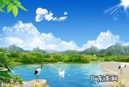 心如止水是什么意思