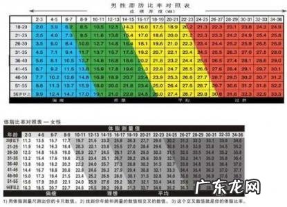 体重秤怎么测体脂率 怎么测体脂率
