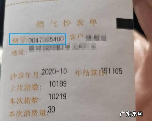 怎样查看自己燃气户号编码 怎样查看自己燃气户号