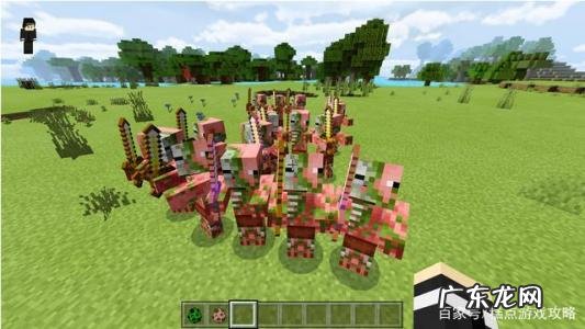 我的世界僵尸猪人掉落物 我的世界僵尸猪人