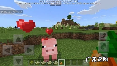 我的世界怎么驯服羊驼并骑着它 我的世界怎么驯服羊驼