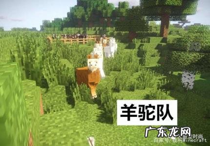 我的世界怎么驯服羊驼并骑着它 我的世界怎么驯服羊驼