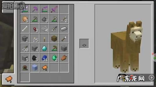 我的世界羊驼怎么骑用什么鞍 我的世界怎么骑羊驼