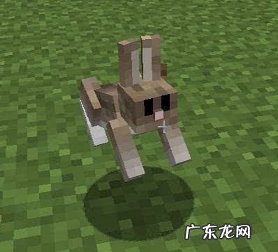 我的世界怪物图鉴介绍 我的世界怪物图鉴