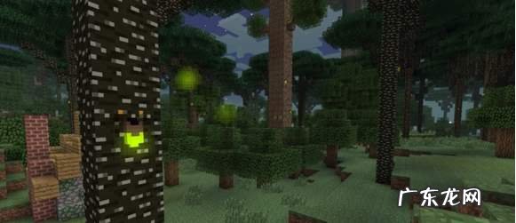 我的世界暮色森林