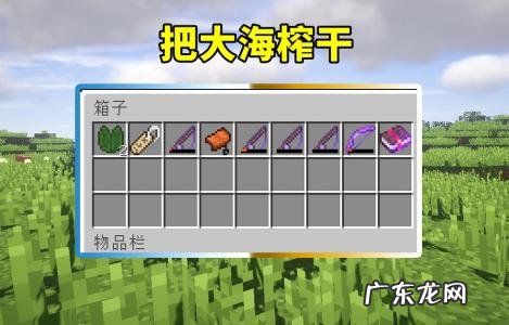 我的世界海之眷顾3有什么用 我的世界海之眷顾有什么用