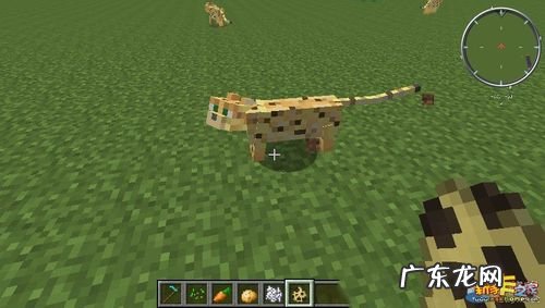 我的世界豹猫怎么驯服不了 我的世界豹猫