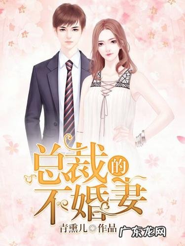 我的双面总裁全文免费阅读佟小曼21 我的双面总裁全文免费阅读