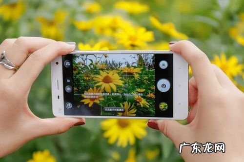 手机拍照排行 手机拍照排行