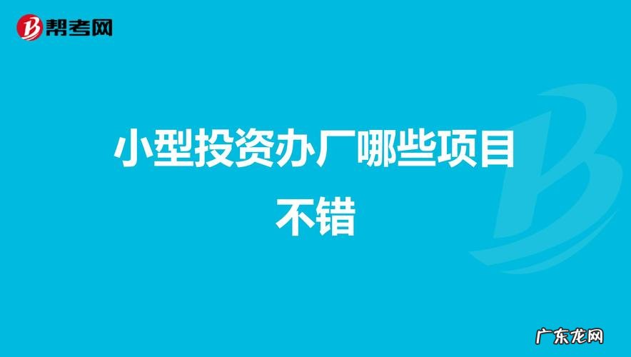 小额投资办厂项目 投资办厂项目