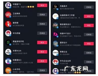 抖音属于哪个公司