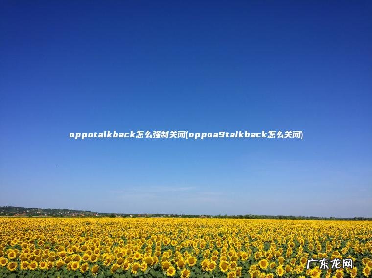 oppoa9talkback怎么关闭 oppotalkback怎么强制关闭
