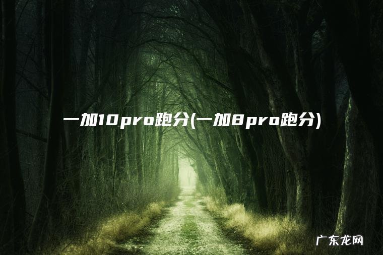 一加8pro跑分 一加10pro跑分