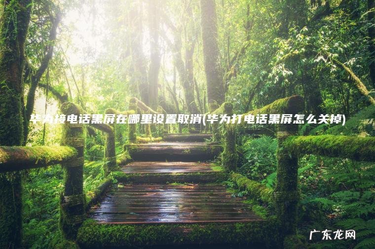 华为接电话黑屏在哪里设置取消(华为打电话黑屏怎么关掉) 华为打电话黑屏怎么关掉 华为接电话黑屏在哪里设置取消