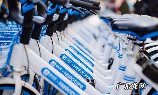 哈啰出行顺风车车主怎么接单 哈啰出行顺风车