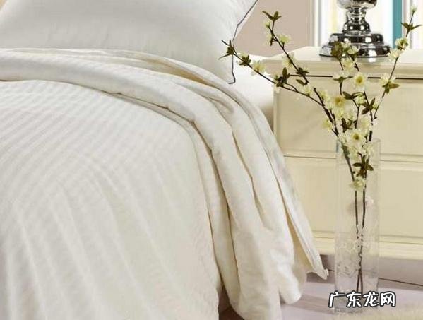 桐乡蚕丝被哪个牌子好 蚕丝被哪个牌子最好