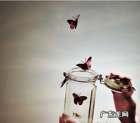 蝴蝶效应典型生活例子打架 蝴蝶效应生活中的例子