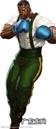 街头霸王人物介绍大全 街头霸王人物