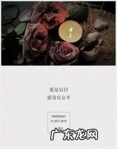 有恃无恐是什么歌 被偏爱的都有恃无恐什么歌